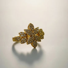 Royal Two-Tone Gold Bridal Zircon Jewelry Set